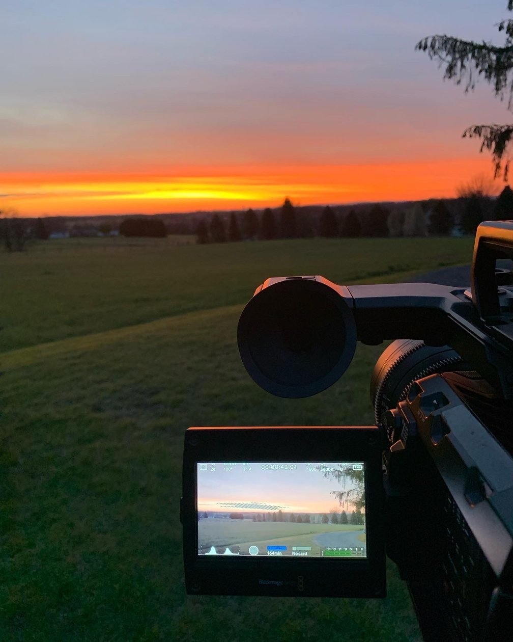 Blackmagic camera at golden hour