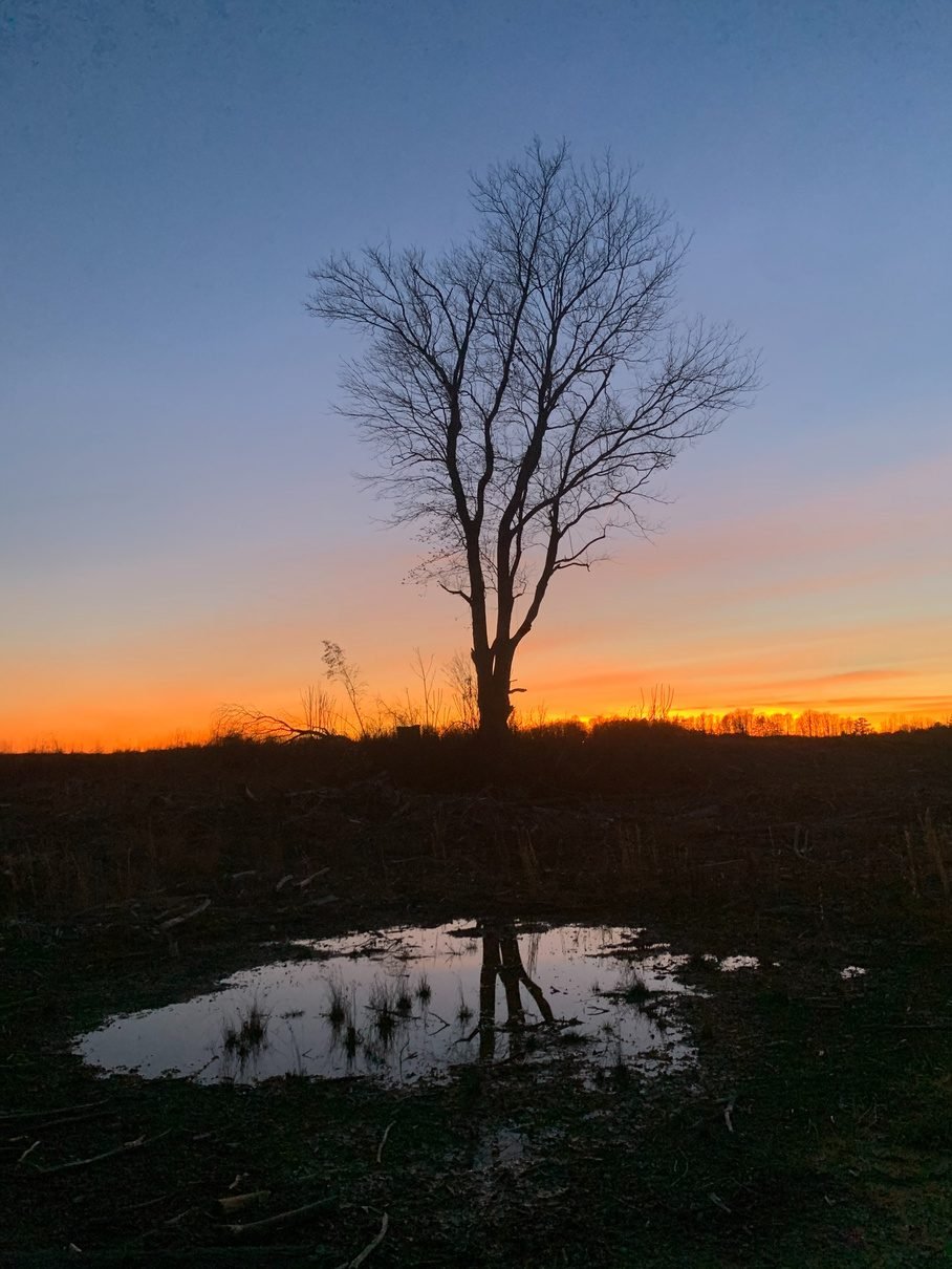 Nature photograph — Halifax, Virginia